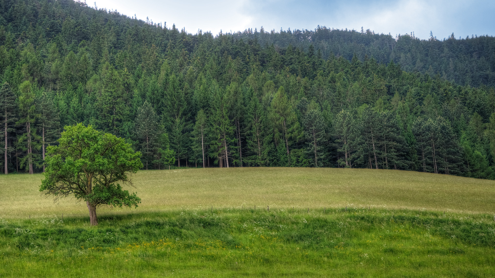 Landschaft