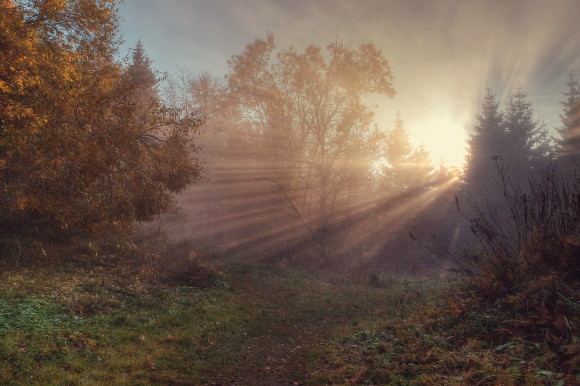 tief im Wald